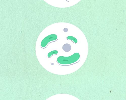 Various abstract icons representing different types of activities